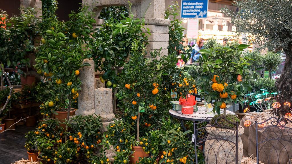 Gartenmesse Salzburg