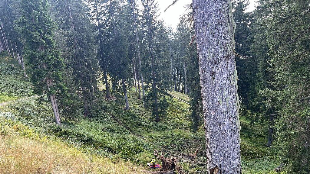 Forstunfall Maria Alm